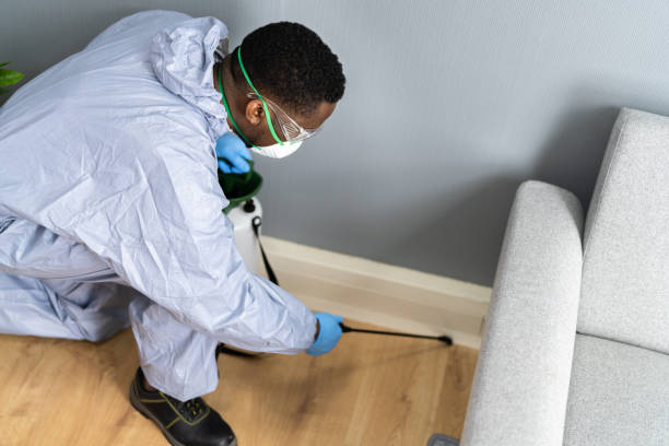 Best Fumigation Services  in Walhalla, SC